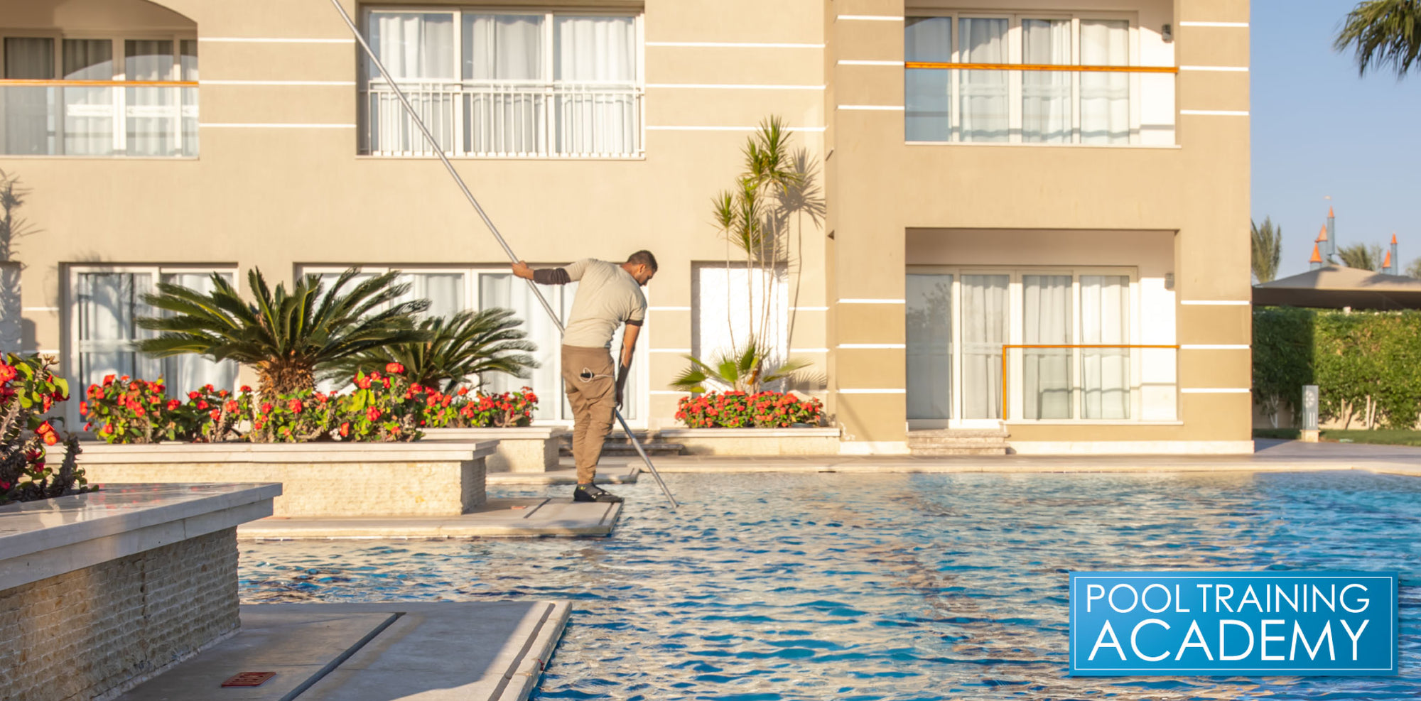 Should You Brush Your Swimming Pool?